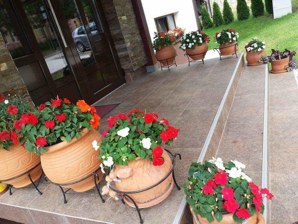 Lufi Penthouse Apartment Zlatibor Exteriör bild