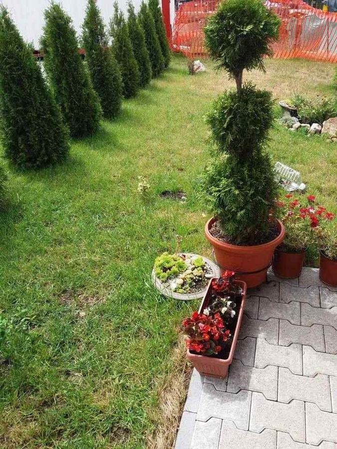 Lufi Penthouse Apartment Zlatibor Exteriör bild
